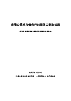 財政状況資料